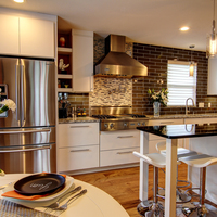 2014 Mondern Kitchen Renovation 